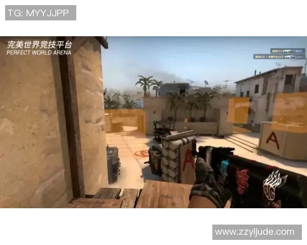 陈静深度解析CSGO游戏技巧与战术心得分享