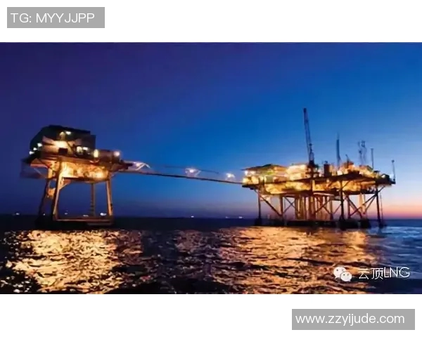 热议英雄联盟LNG战队实力变革背后的原因与未来展望